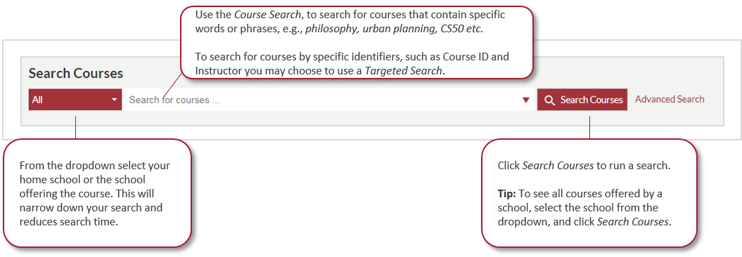 User interface of Course Search search field