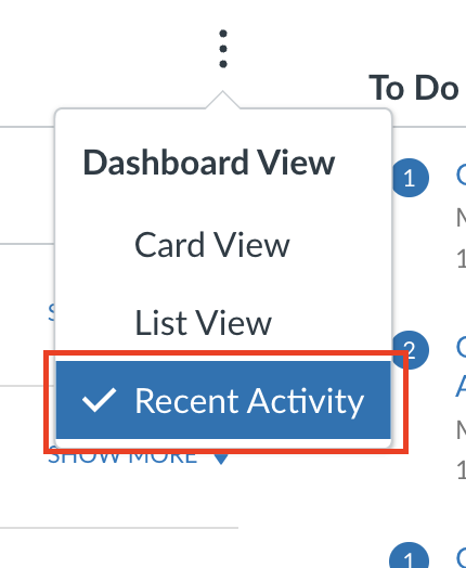 Screenshot of the menu on the dashboard, with the "Recent Activity" option highlighted and surrounded by a red box.